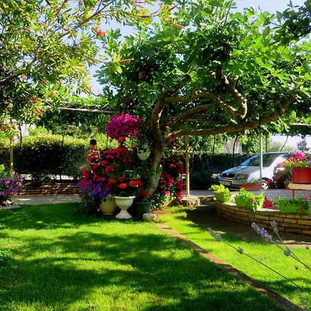 Beach Apartments Roza - The Garden Apartment Biograd Na Moru Εξωτερικό φωτογραφία