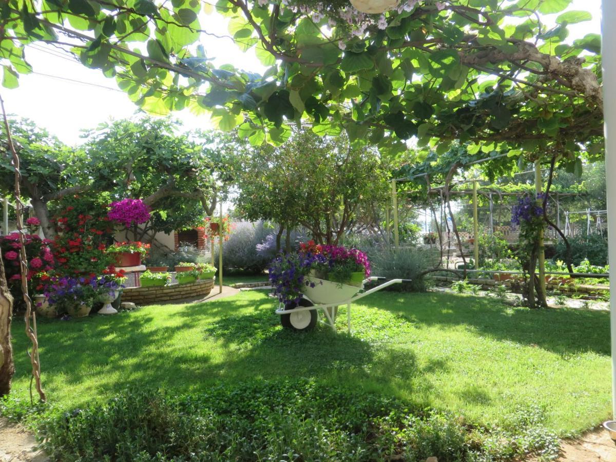 Beach Apartments Roza - The Garden Apartment Biograd Na Moru Εξωτερικό φωτογραφία