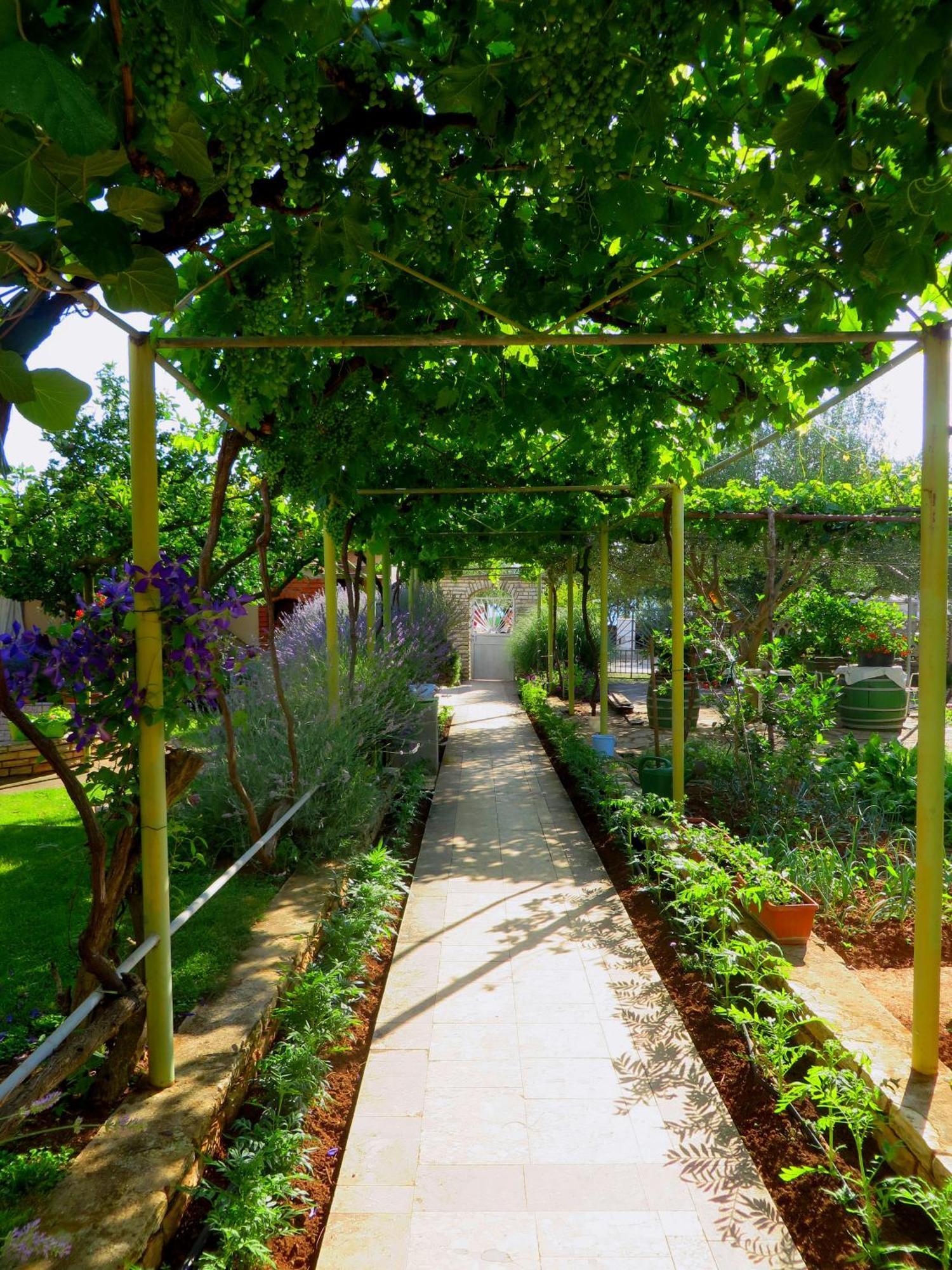 Beach Apartments Roza - The Garden Apartment Biograd Na Moru Εξωτερικό φωτογραφία