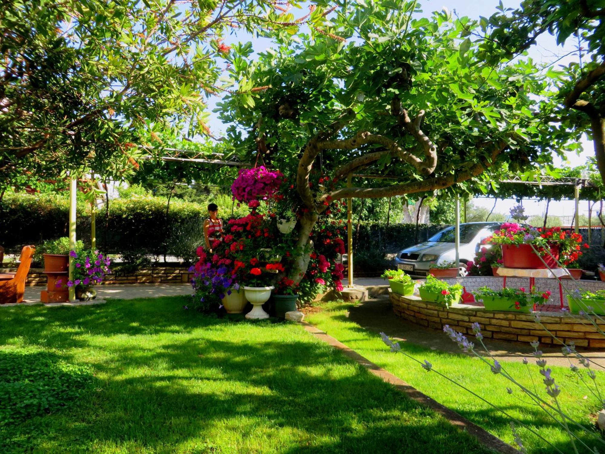 Beach Apartments Roza - The Garden Apartment Biograd Na Moru Εξωτερικό φωτογραφία